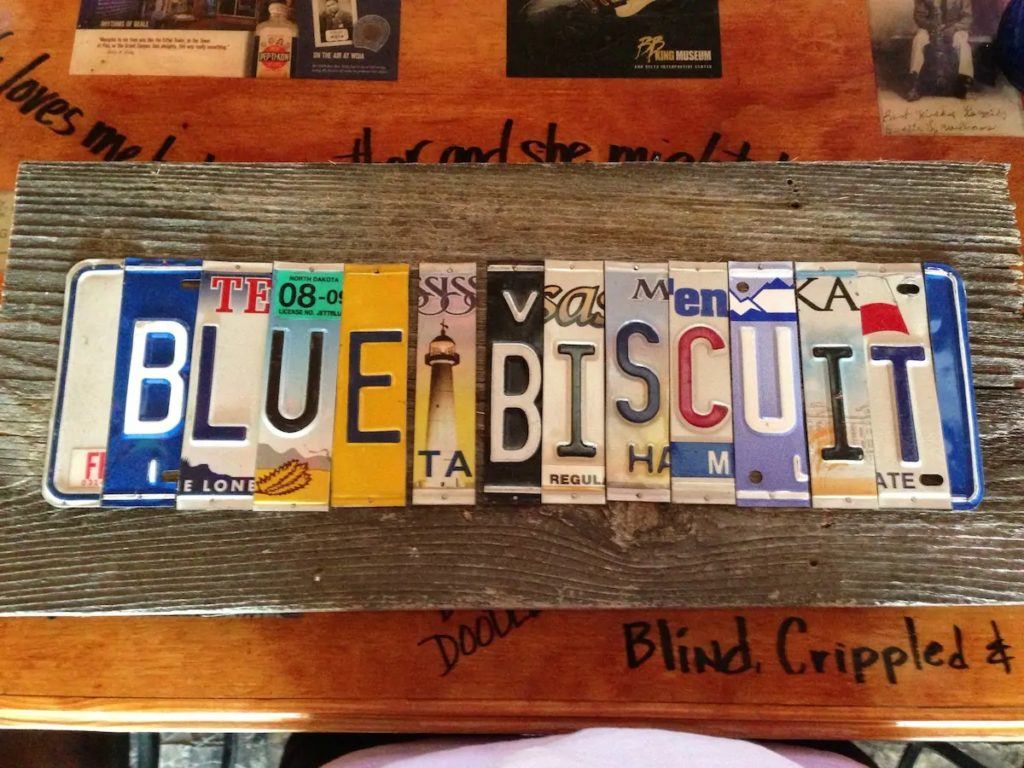 Blue Biscuit, Credit: Airbnb